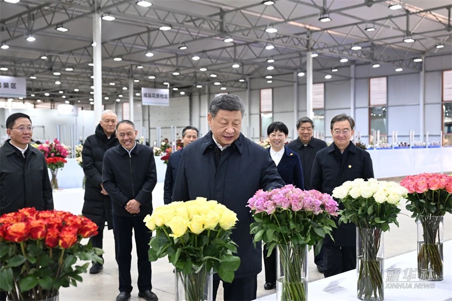 习近平总书记在云南丽江现代花卉产业园考察（来源：新华社）.jpg