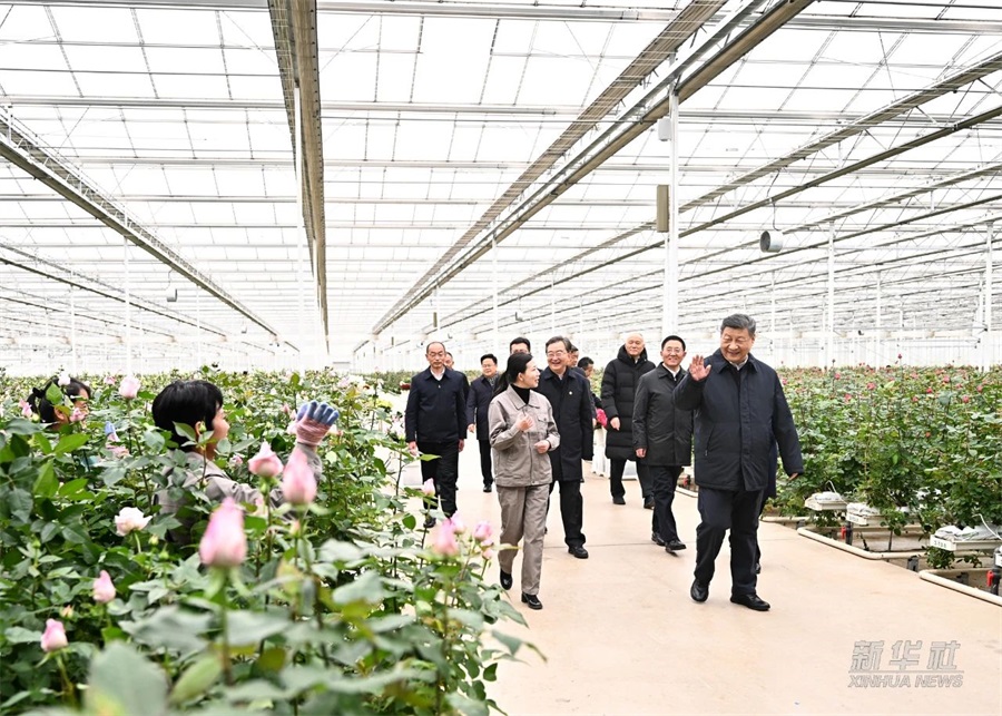 习近平总书记在云南丽江现代花卉产业园考察（来源：新华社）..jpg